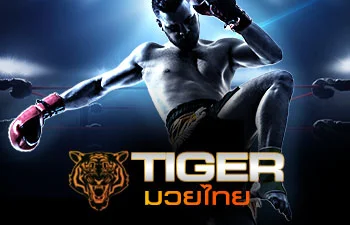 tiger-boxing by alpha888